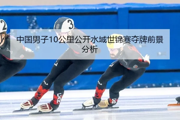 中国男子10公里公开水域世锦赛夺牌前景分析
