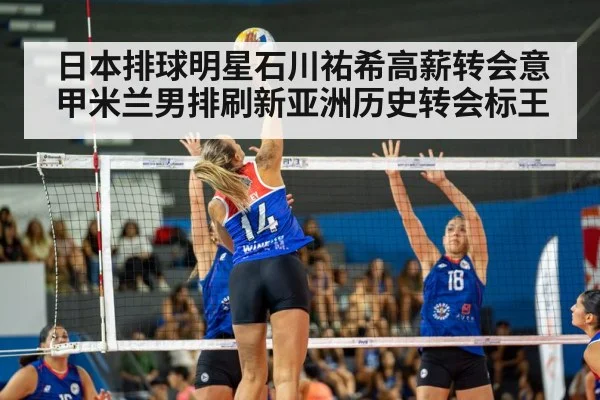 volleyball match arena
